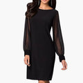 Women’s Mini Dress with Sheer Long Sleeves