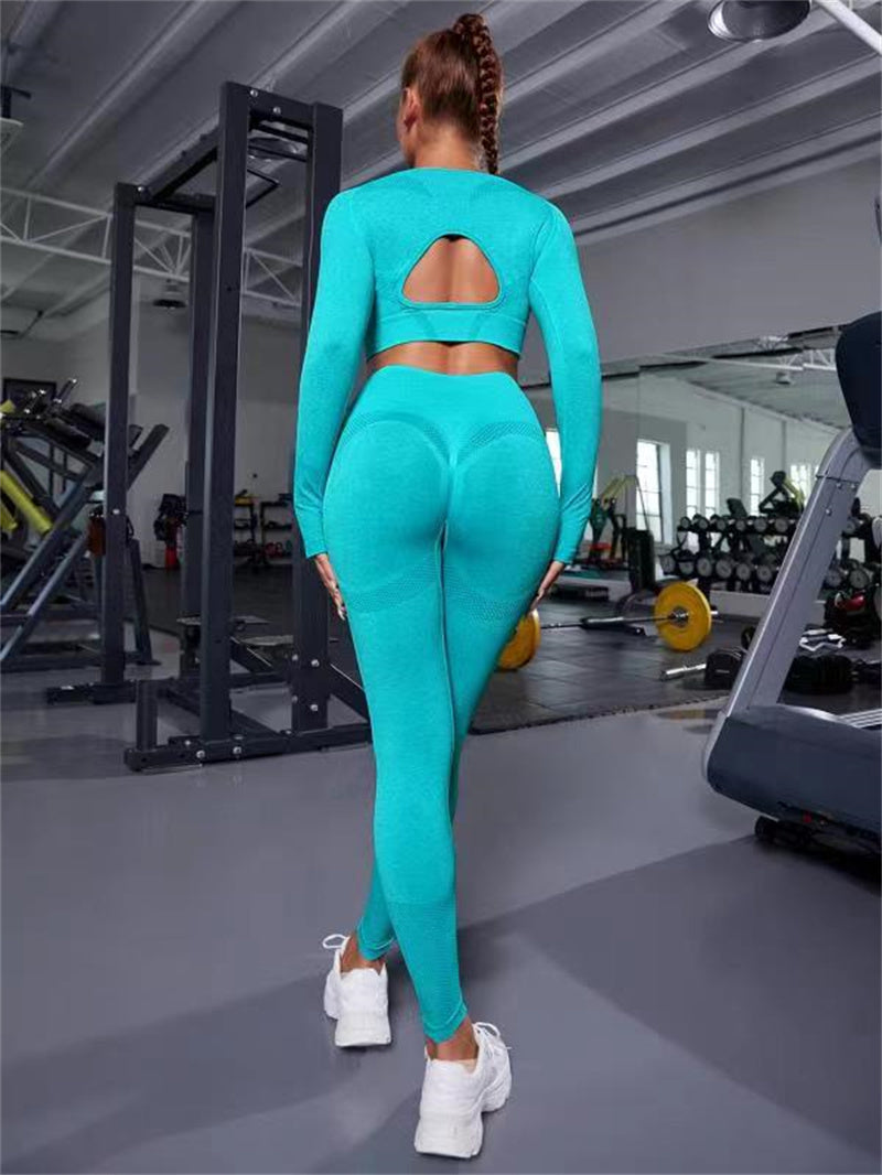 Women's seamless two piece gym set